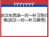 武汉东西湖一对一补习班价格(武汉一对一补习费用)