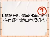 玉林博白县找单招集训的机构有哪些(博白单招机构)