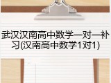 武汉汉南高中数学一对一补习(汉南高中数学1对1)