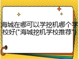 海城在哪可以学挖机哪个学校好("海城挖机学校推荐")