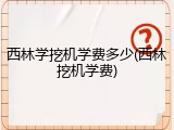 西林学挖机学费多少(西林挖机学费)