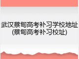 武汉蔡甸高考补习学校地址(蔡甸高考补习校址)