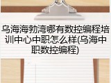 乌海海勃湾哪有数控编程培训中心中职怎么样(乌海中职数控编程)