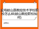 宝鸡岐山县数控技术学校职校怎么样(岐山数控职校如何)