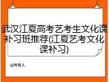 武汉江夏高考艺考生文化课补习班推荐(江夏艺考文化课补习)