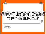 铜陵狮子山好的单招培训哪里有(铜陵单招培训)