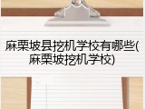 麻栗坡县挖机学校有哪些(麻栗坡挖机学校)