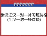 武汉江汉一对一补习班价格(江汉一对一补课价)