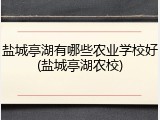 盐城亭湖有哪些农业学校好(盐城亭湖农校)