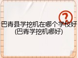 巴青县学挖机在哪个学校好(巴青学挖机哪好)
