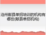 沧州献县单招培训的机构有哪些(献县单招机构)