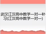 武汉江汉高中数学一对一补习(江汉高中数学一对一)