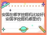 安国在哪学挖掘机比较好(安国学挖掘机哪里好)