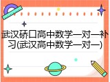 武汉硚口高中数学一对一补习(武汉高中数学一对一)