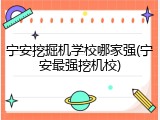宁安挖掘机学校哪家强(宁安最强挖机校)