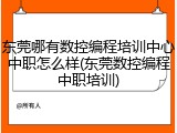 东莞哪有数控编程培训中心中职怎么样(东莞数控编程中职培训)
