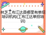 林芝工布江达县哪里有单招培训机构(工布江达单招培训)