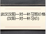武汉汉阳一对一补习班价格(汉阳一对一补习价)