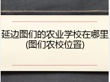 延边图们的农业学校在哪里(图们农校位置)