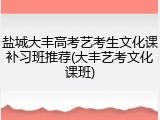 盐城大丰高考艺考生文化课补习班推荐(大丰艺考文化课班)