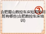 合肥蜀山数控车床短期培训班有哪些(合肥数控车床培训)