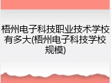 梧州电子科技职业技术学校有多大(梧州电子科技学校规模)