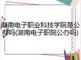 湖南电子职业科技学院是公办吗(湖南电子职院公办吗)