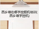 西乡塘在哪学挖掘机培训(西乡塘学挖机)