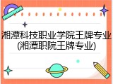 湘潭科技职业学院王牌专业(湘潭职院王牌专业)
