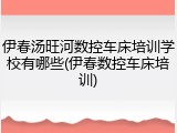 伊春汤旺河数控车床培训学校有哪些(伊春数控车床培训)