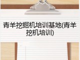 青羊挖掘机培训基地(青羊挖机培训)