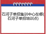 石河子单招集训中心在哪(石河子单招培训点)