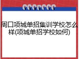 周口项城单招集训学校怎么样(项城单招学校如何)