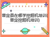普定县在哪学挖掘机培训(普定挖掘机培训)