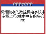 柳州融水的数控机电学校中专能上吗(融水中专数控机电)
