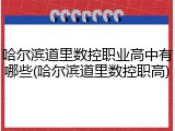 哈尔滨道里数控职业高中有哪些(哈尔滨道里数控职高)