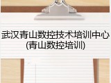 武汉青山数控技术培训中心(青山数控培训)