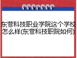 东营科技职业学院这个学校怎么样(东营科技职院如何)