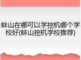 蚌山在哪可以学挖机哪个学校好(蚌山挖机学校推荐)