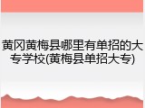 黄冈黄梅县哪里有单招的大专学校(黄梅县单招大专)