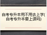 自考专升本用不用去上学(自考专升本要上课吗)