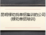 昆明禄劝找单招集训的公司(禄劝单招培训)