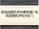 龙凤挖掘机学校哪家强("龙凤挖掘机学校对比")