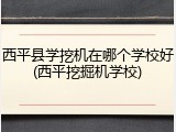 西平县学挖机在哪个学校好(西平挖掘机学校)