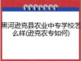 黑河逊克县农业中专学校怎么样(逊克农专如何)