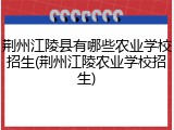 荆州江陵县有哪些农业学校招生(荆州江陵农业学校招生)