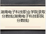 湖南电子科技职业学院录取分数线(湖南电子科技职院分数线)