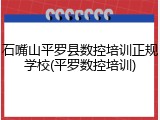 石嘴山平罗县数控培训正规学校(平罗数控培训)