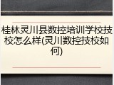 桂林灵川县数控培训学校技校怎么样(灵川数控技校如何)