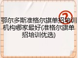 鄂尔多斯准格尔旗单招培训机构哪家最好(准格尔旗单招培训优选)